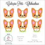 Chihuahua - Coleção Pets