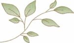 Coleção Sonhadoras - Imagem 27