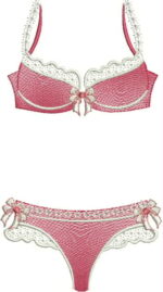 Matriz de bordado lingerie suja e limpa - Imagem 3