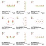 Matriz de Bordado - Coelhinhos Fofura - Imagem 27