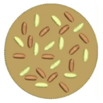 Projeto na Bordadeira - Rosquinha e Absorvente para Amamentação - Image 14