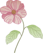 Coleção Flores e Cores - Imagem 6