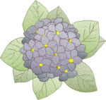 Coleção Flores e Cores