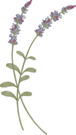 Coleção Flores e Cores - Imagem 20