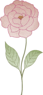 Coleção Flores e Cores - Imagem 9