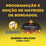 CURSO PROGRAMAÇÃO E EDIÇÃO DE MATRIZES - WILCOM+EMBIRD