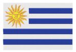 Matriz de Bordado Bandeira Uruguai * 10X10 e 13X18cm - Imagem 2
