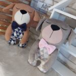 Cachorrinho Ninão