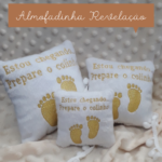 Projeto na Bordadeira - Almofadinhas Revelação