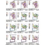 Matrizes de Bordado - Coleção VOLTA ÀS AULAS - Image 17