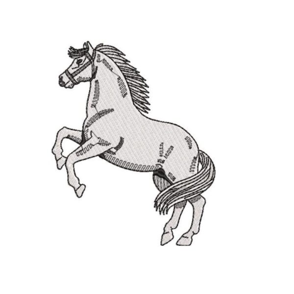 Matriz de bordado Cavalo Crioulo