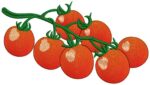 Matriz de bordado pacotinho de tomates - Image 2
