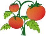 Matriz de bordado pacotinho de tomates - Image 4