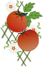 Matriz de bordado pacotinho de tomates - Image 5