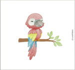 Matrizes de Bordado - Coleção Fauna Brasileira - Image 18