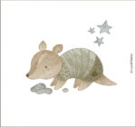 Matrizes de Bordado - Coleção Fauna Brasileira - Image 30