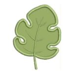 Matriz de Bordado - Safari Cute - Imagem 4