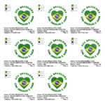 Matriz de Bordado - Coleção Copa Brasil 2022 - Image 11