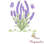 matriz-de-bordado-lavanda1