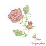 Matriz de Bordado Coleção Rosas - Image 5