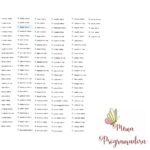 Matriz de Bordado Coleção 140 Nomes Aviãozinho Menino - Imagem 3