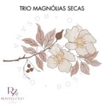 Trio MAGNÓLIAS SECAS - Image 4