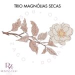 Trio MAGNÓLIAS SECAS - Image 3