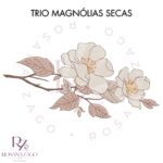 Trio MAGNÓLIAS SECAS - Image 2