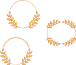 Coleção Matrizes de bordados arabesco folhas
