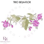 Trio BEIJA-FLOR - Imagem 2