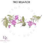 Trio BEIJA-FLOR - Imagem 4