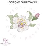 Coleção QUARESMEIRA - Image 5