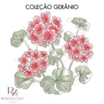 Coleção Gerânio - Image 2