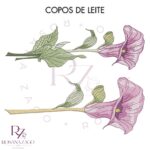 Copos de Leite - Image 2
