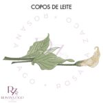 Copos de Leite - Image 3