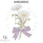 Margaridas - Imagem 5