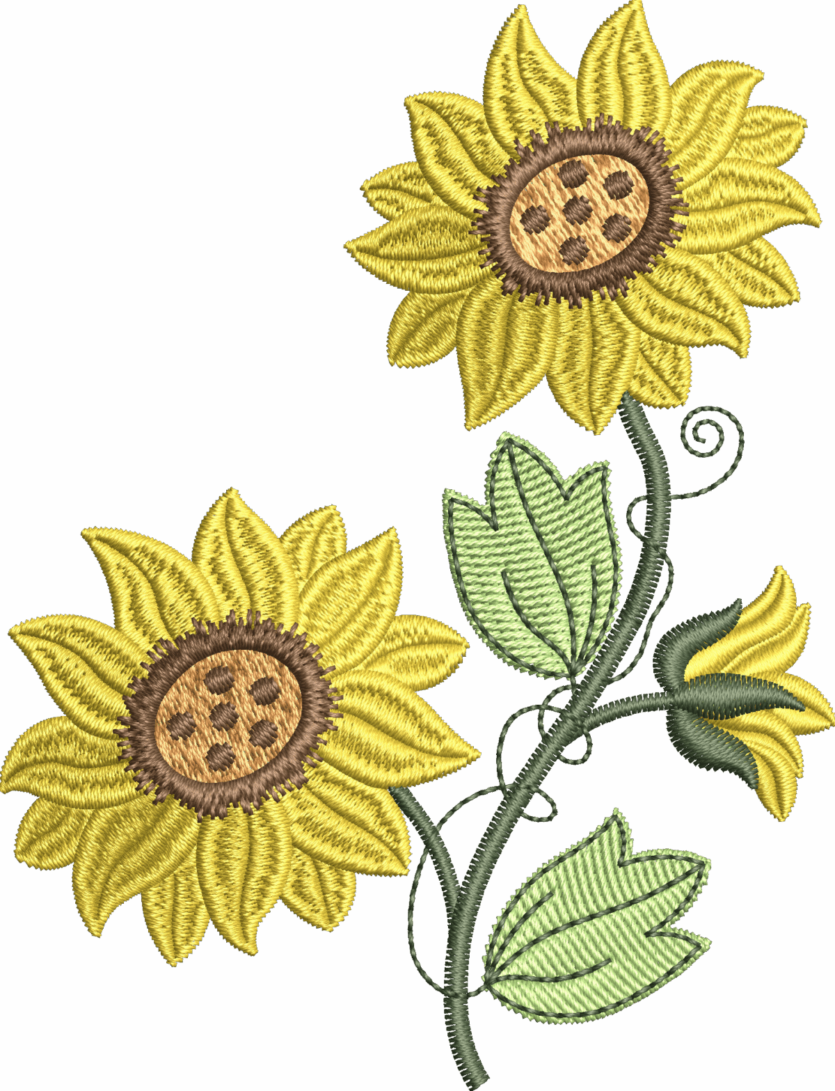 Coleção [FLORES & RAMOS]