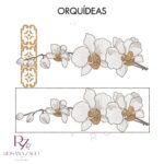 Orquídeas - Imagem 3