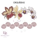 Orquídeas - Imagem 4