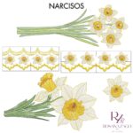 Narcisos