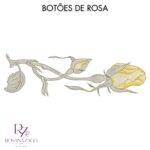 Botões de Rosa - Imagem 3