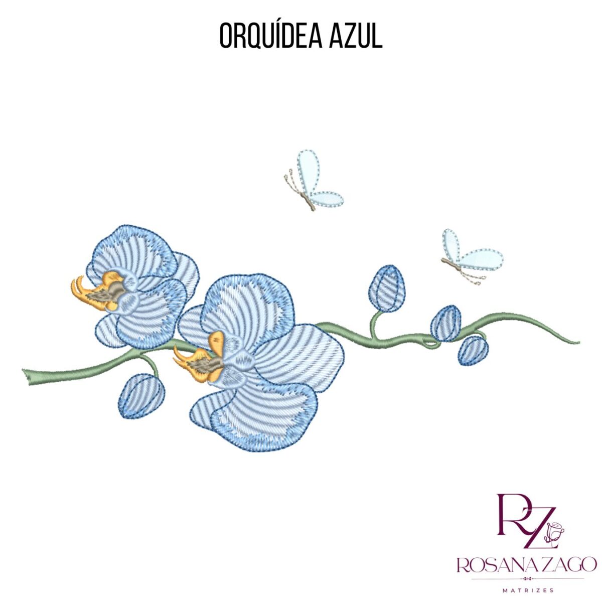 ORQUÍDEA AZUL - Imagem 2