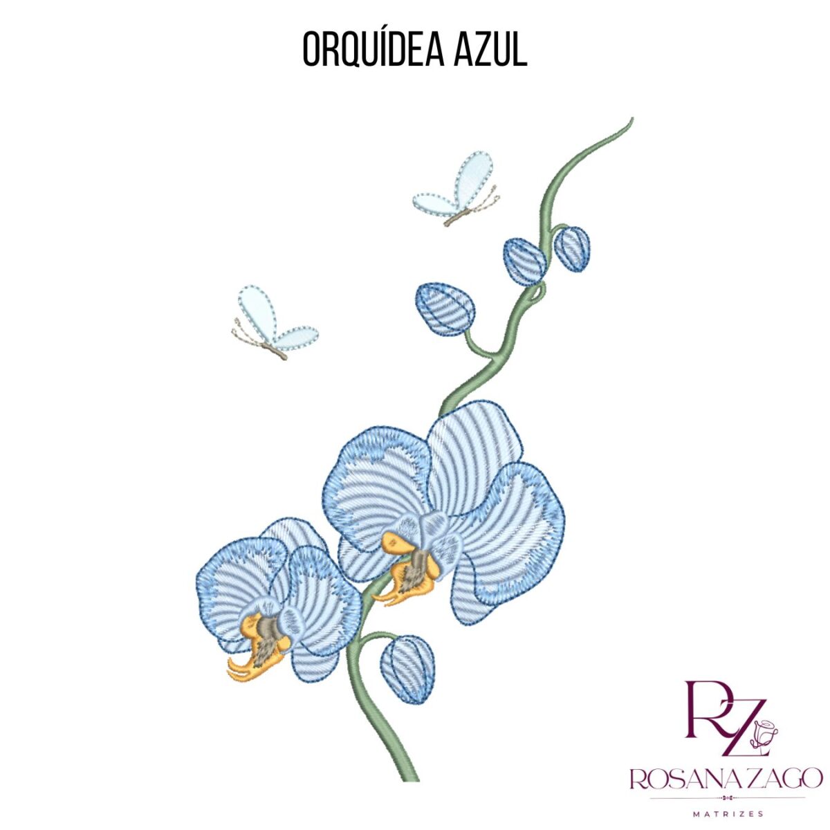 ORQUÍDEA AZUL - Imagem 5