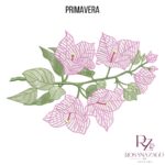 PRIMAVERA - Image 2