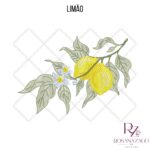 Limão - Image 7