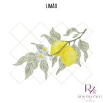 Limão - Image 5