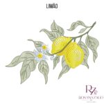 Limão - Image 6