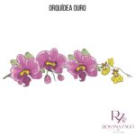 Orquídeas Ouro - Image 5