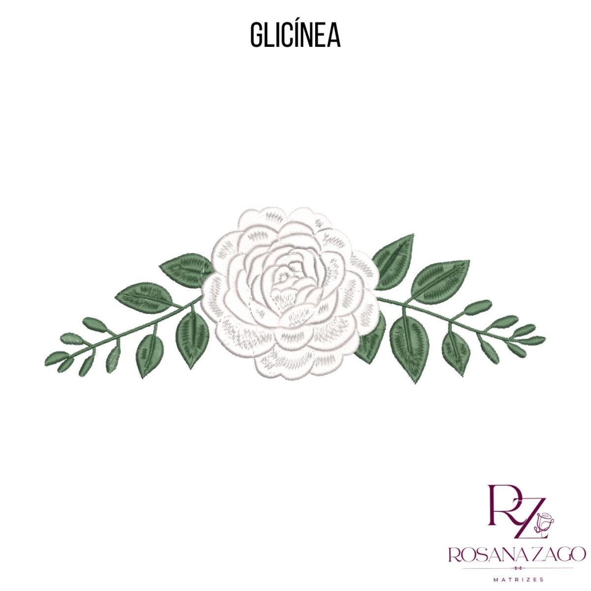 GLICÍNEA - Imagem 5