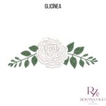GLICÍNEA - Imagem 5